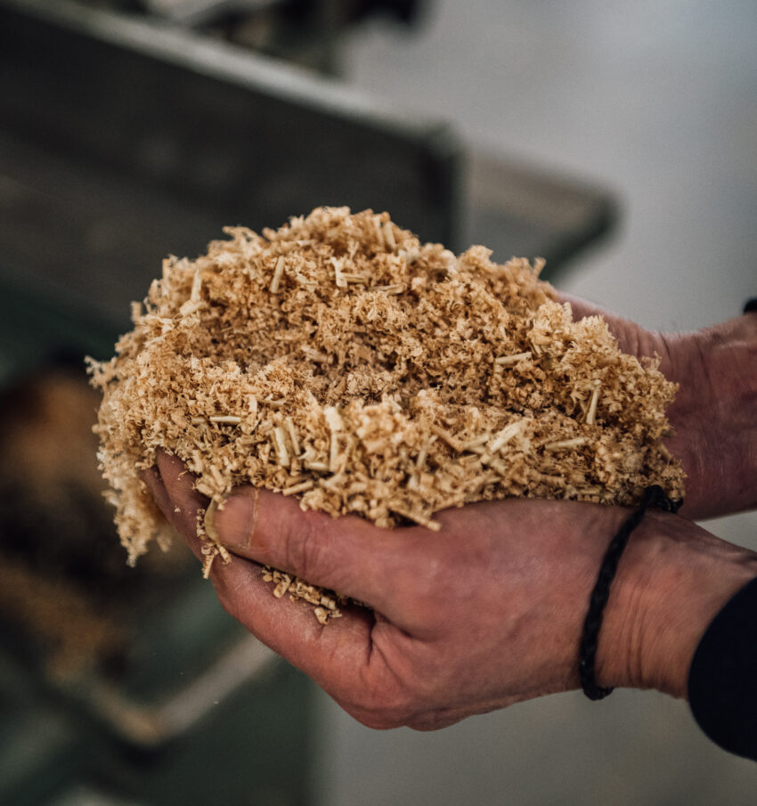 A small pile of wood shaving for waste wood recycling sits in a pair of woodworker's hands.